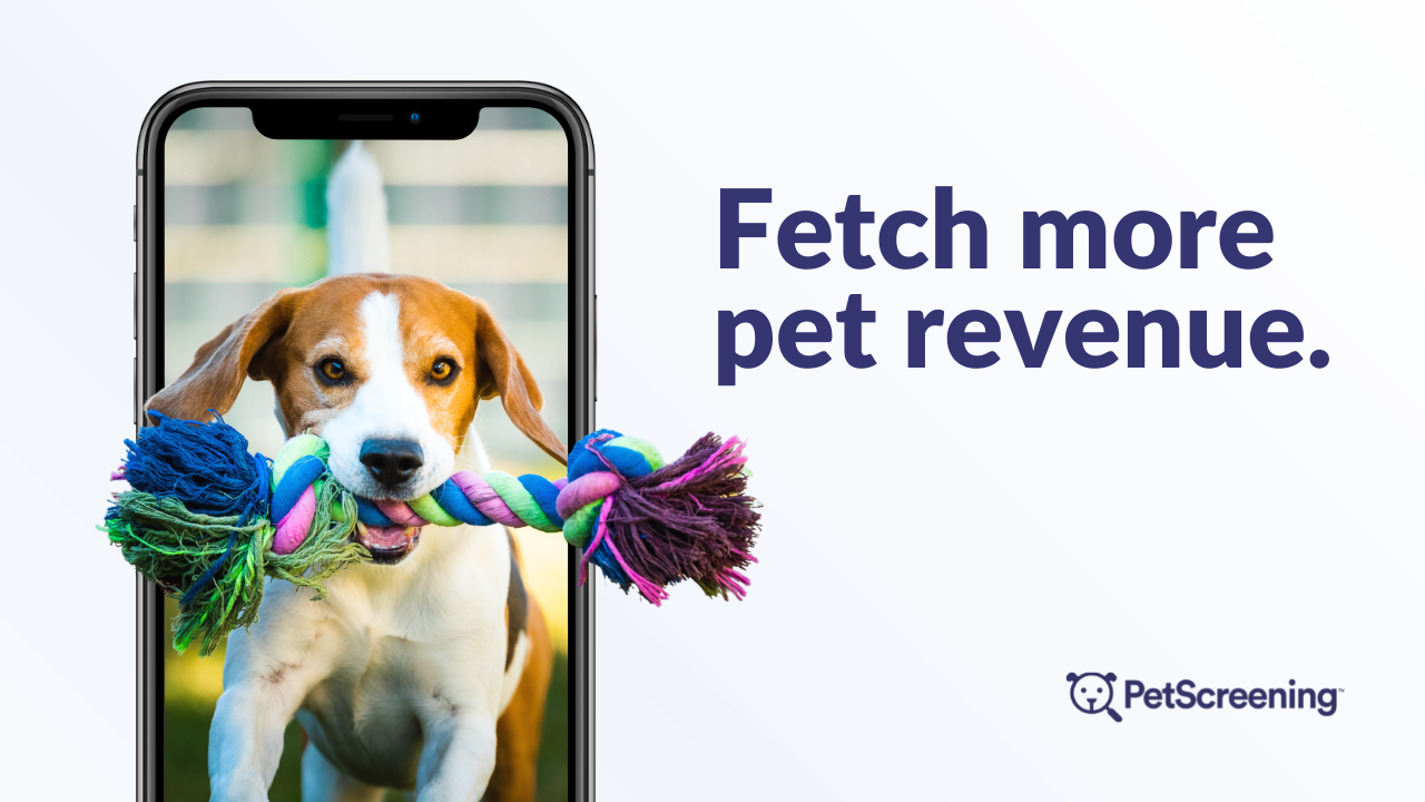 Fetch More Pet Revenue